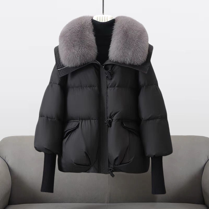 Boreal Ridge | Windbreaker Jacket